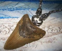 Megalodon Shark Tooth 3 1/4 Real Shark Teeth Necklace Fossil Huge Viking Gem