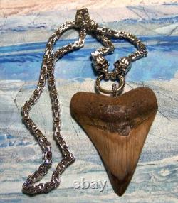 Megalodon Shark Tooth 3 3/8 Real Shark Teeth Necklace Fossil Huge Viking Gem