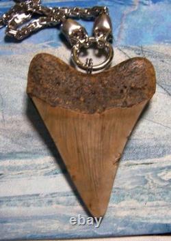 Megalodon Shark Tooth 3 3/8 Real Shark Teeth Necklace Fossil Huge Viking Gem