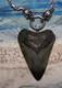 Megalodon Shark Tooth 3 Real Shark Teeth Necklace Fossil Big Viking Gem