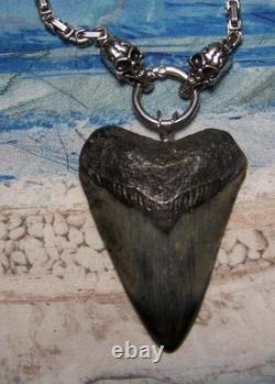 Megalodon Shark Tooth 3 Real Shark Teeth Necklace Fossil Big Viking Gem