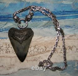 Megalodon Shark Tooth 3 Real Shark Teeth Necklace Fossil Big Viking Gem