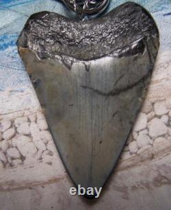 Megalodon Shark Tooth 3 Real Shark Teeth Necklace Fossil Big Viking Gem