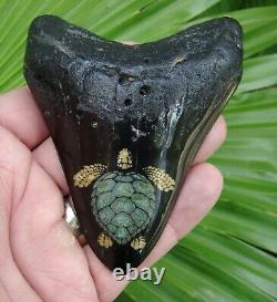 Megalodon Shark Tooth 4 & 3/16 in. JADE & BRASS TURTLE INLAY REAL FOSSIL