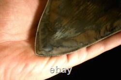 Megalodon Shark Tooth 5,36'' x 4,4'' Huge Widest Upper Indo Deep Blue Colour