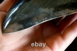 Megalodon Shark Tooth 5,36'' x 4,4'' Huge Widest Upper Indo Deep Blue Colour