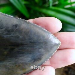 Megalodon Shark Tooth 5.66'' x 4.5'' Large Upper Indo 100% Natural Deep Blue