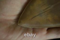 Megalodon Shark Tooth 5,87'' Huge Lower Anterior Indo NO REPAIR NO RESTORATION