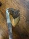 Megalodon Shark Tooth 6.37 Inch Giant Authentic Fossil Natural Teeth 20033