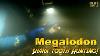 Megalodon Shark Tooth Diving Jonathan Bird S Blue World