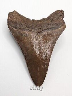 Megalodon Shark Tooth Fossil 3 Meg Tooth with Display Stand, Lightning Pattern