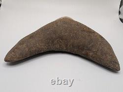 Megalodon Shark Tooth Fossil OVER 6 Meg with Display Stand