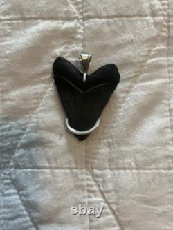 Megalodon Shark Tooth Fossil Pendant Set in Sterling Silver