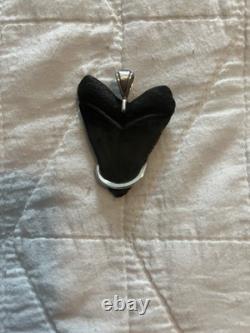 Megalodon Shark Tooth Fossil Pendant Set in Sterling Silver