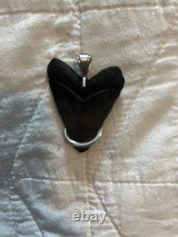 Megalodon Shark Tooth Fossil Pendant Set in Sterling Silver