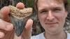 Megalodon Shark Tooth Found Fossil Hunting Peace River In Florida