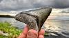 Megalodon Shark Tooth Hunting In Florida Fossil Hunting On Dirt Roads For Huge Shark Teeth