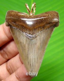 Megalodon Shark Tooth Megalodon Necklace Augusgtiden Necklace For MA