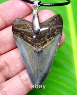 Megalodon Shark Tooth Megalodon Necklace Augusgtiden Necklace For MA