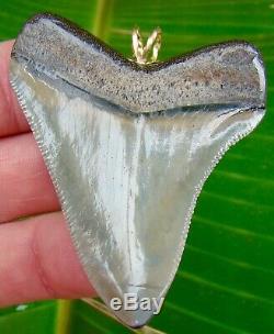 Megalodon Shark Tooth Necklace Pendant 2 & 9/16 in. SUPER QUALITY GRADE A+