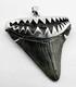 Megalodon Shark Tooth Pendant Fossil Shark Tooth, Megalodon With Silver Cap