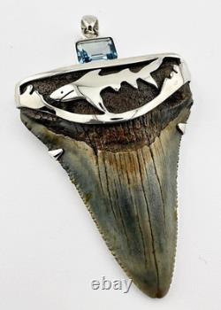 Megalodon Shark Tooth Pendant Megalodon Tooth with Sterling Silver Cap & Topaz
