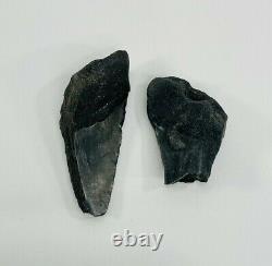 Megalodon Shark Tooth Pieces Prehistoric Large Fossil Teeth