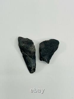 Megalodon Shark Tooth Pieces Prehistoric Large Fossil Teeth