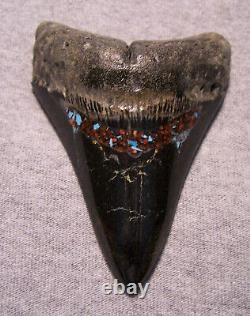 Megalodon Shark Tooth Shark Teeth Fossil Big 4 1/4 Red Coral & Turquoise Inlay