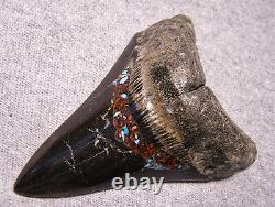 Megalodon Shark Tooth Shark Teeth Fossil Big 4 1/4 Red Coral & Turquoise Inlay