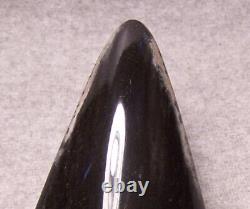 Megalodon Shark Tooth Shark Teeth Fossil Black Dagger 5 1/8 Polished Huge