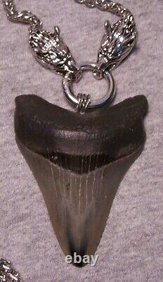Megalodon Shark Tooth Sharks Teeth Necklace Jaw Fossil 3 Huge Polished Viking