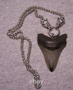 Megalodon Shark Tooth Sharks Teeth Necklace Jaw Fossil 3 Huge Polished Viking