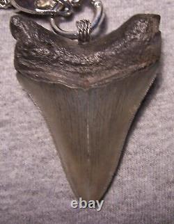 Megalodon Shark Tooth Sharks Teeth Necklace Jaw Fossil 3 Huge Polished Viking