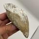 Megalodon Shark Tooth Ultra Rare Deformed Bone Valley Shark Tooth Fossil 4.68