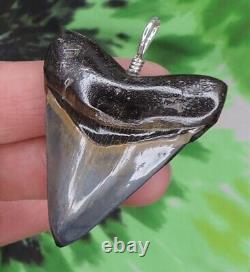 Megalodon Sharks Tooth Pendant NICE! / Sterling Silver/ fossil sharks teeth tooth