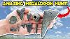 Megalodon Tooth Adventure With Ashby Gale Custom Private Adventure 6 29 23