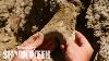 Megalodon Tooth Found In The Desert Shark Week