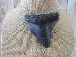 Megalodon Tooth Pendant Shark Tooth Necklace Fossilized Bone Jewelry N6388 Megalodon Tooth Pendant Shark Tooth Necklace Fossilized Bone Jewelry N6388