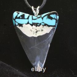 Megalodon Turquoise Jewelry Fossil Shark Tooth 2.3 Pendant Pair Silver Bale New