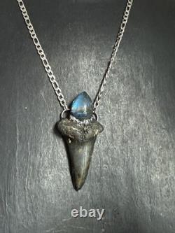 Megalodon fossil tooth pendant necklace labradorite jewelry statement necklace