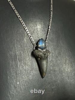 Megalodon fossil tooth pendant necklace labradorite jewelry statement necklace