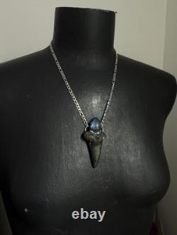Megalodon fossil tooth pendant necklace labradorite jewelry statement necklace