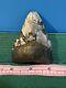 Megalodon Tooth Fossil 2 3/4bone Valley Shark Teeth Attractive Color Desirable