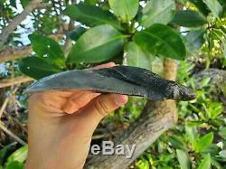 Monster 5.85 MEGALODON Shark Tooth All Natural nearly 6 long by 5 Wide