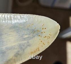 Multi Colored Serrated 5.93 Megalodon Shark Tooth Fossil, Indonesia