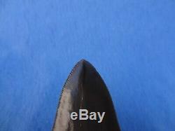 Museum Quality 3.59 Beaufort River, Sc Megalodon Shark Tooth Teeth