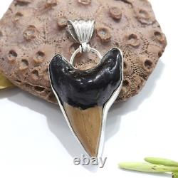 Natural Brown Fossil Megalodon Shark Tooth Pendant Necklace Best Jewelry Gift