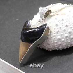 Natural Brown Fossil Megalodon Shark Tooth Pendant Necklace Best Jewelry Gift