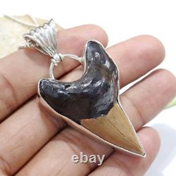 Natural Brown Fossil Megalodon Shark Tooth Pendant Necklace Best Jewelry Gift